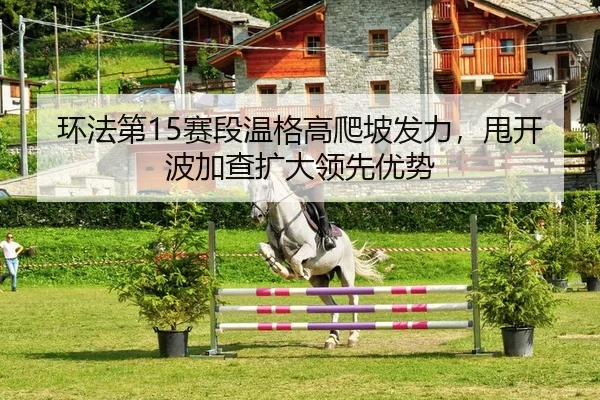 环法第15赛段温格高爬坡发力，甩开波加查扩大领先优势